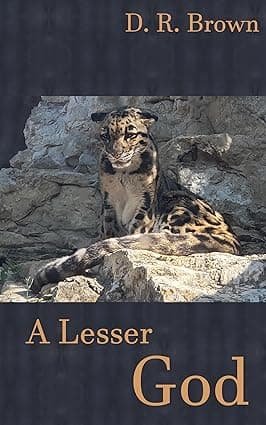 A Lesser God (Engineered Magic Book 2) cover image