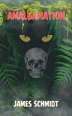 Amalgamation cover image