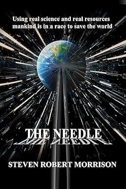 THE NEEDLE cover image