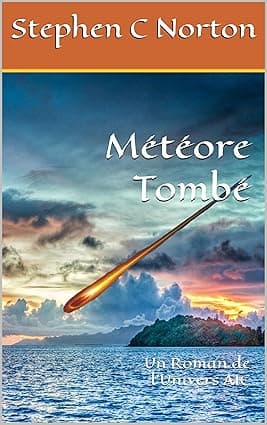Météore Tombé: Un Roman de l'Univers AIC (La série Univers AIC t. 4) (French Edition) cover image