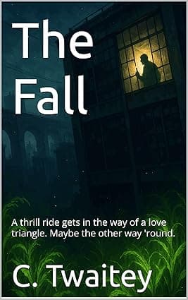 The Fall: A thrill ride gets in the way of a love triangle. Maybe the other way 'round. cover image