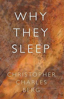 Why They Sleep: A Sci-Fi Technothriller Where Sleepers Stir, Truths Wait in Silence, and One Man Might Hold the Key Without Knowing It (Divide By Zero Series Book 2) cover image